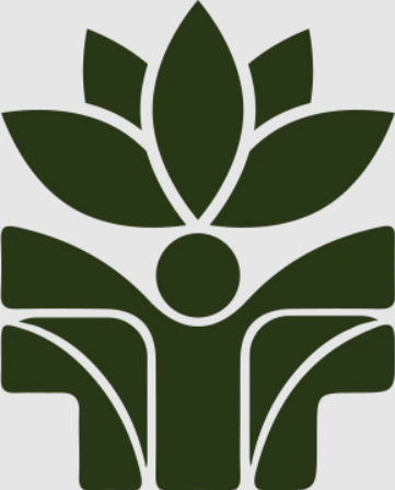 vox cinema logo